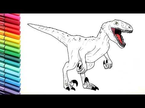 Как нарисовать динозавра велоцираптора карандашом поэтапно
