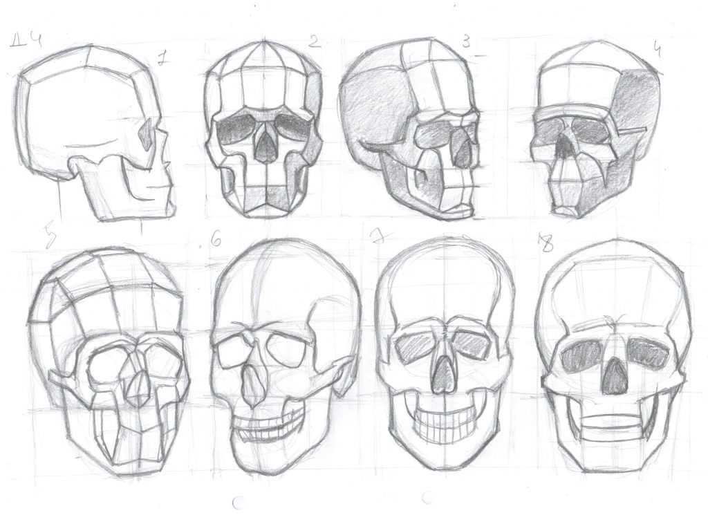 Как нарисовать череп - поэтапное создание рисунка для начинающих