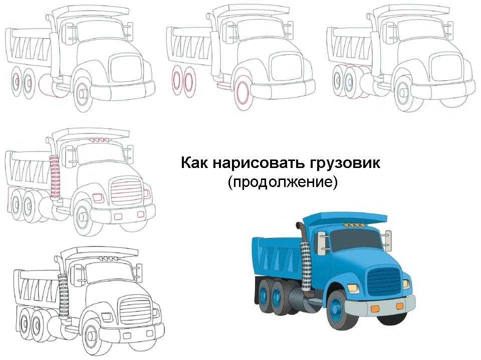 Научиться рисовать фуру