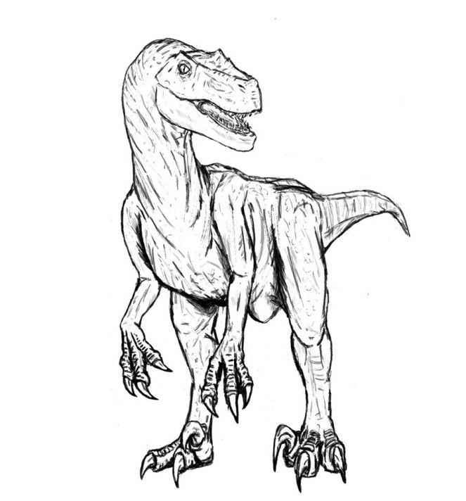Как нарисовать динозавра велоцираптора  поэтапно 6 уроков