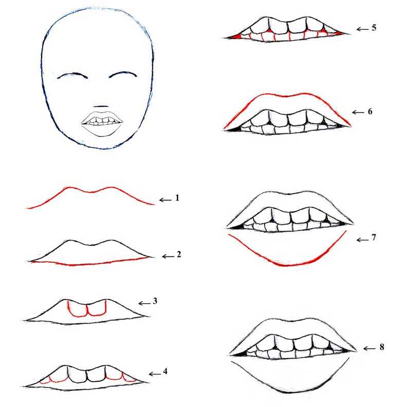 Как нарисовать губы карандашом: поэтапный мастер-класс для начинающих по созданию женский и мужских губ своими руками
