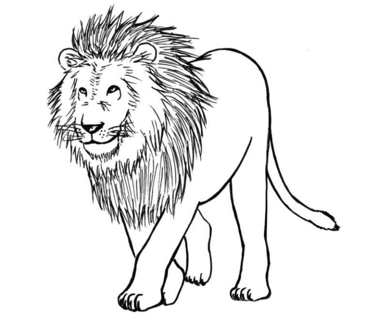 Как нарисовать льва поэтапно легко и просто