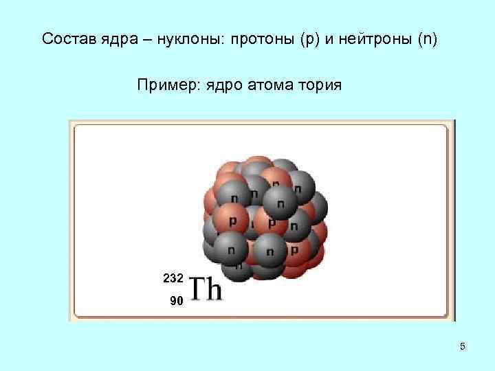 Назовите состав ядра атома