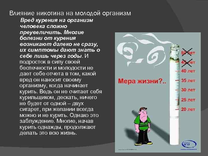 Вред тест. Влияние никотина. Влияние никотина на организм. Влияние курения на организм человека таблица.