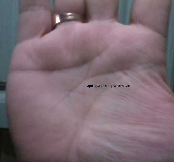 Линия судьбы на руке - расшифровка с фото в хиромантии