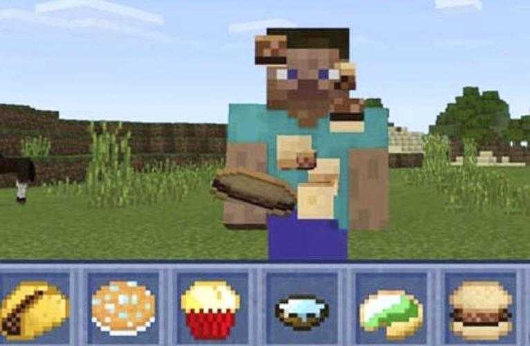 Minecraft wiki