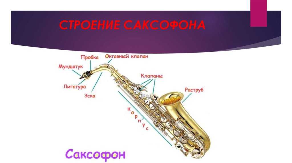 Устройство саксофона схема