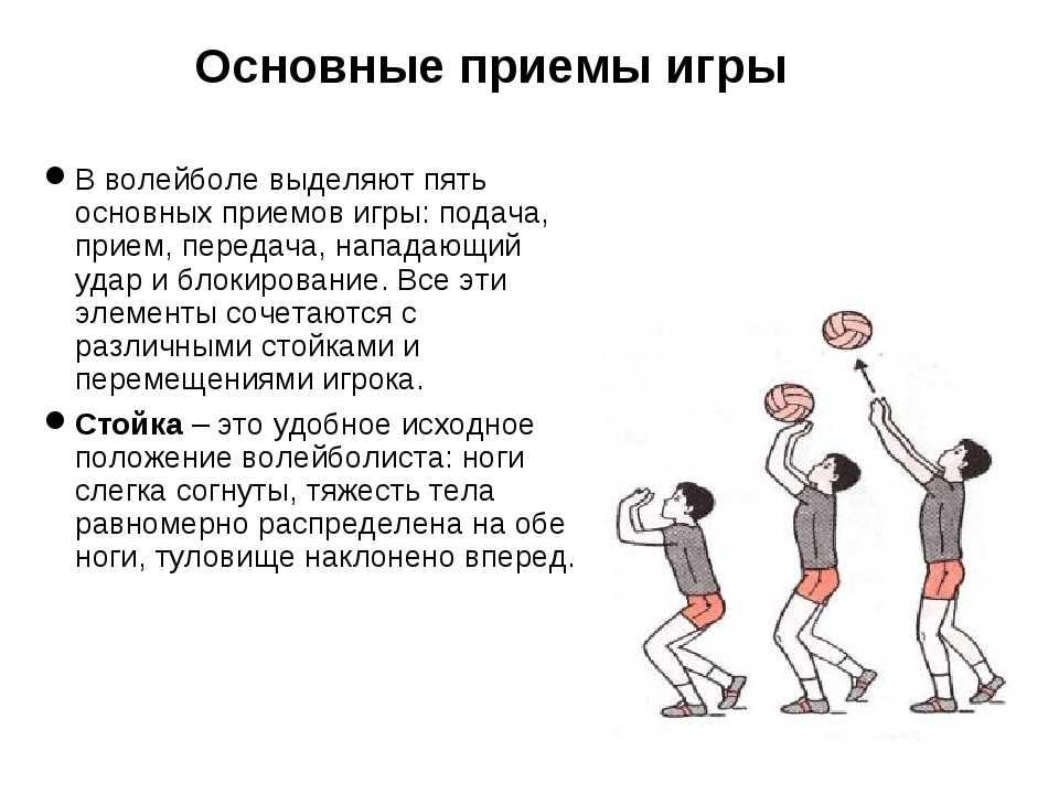 Упражнения для приема в волейболе