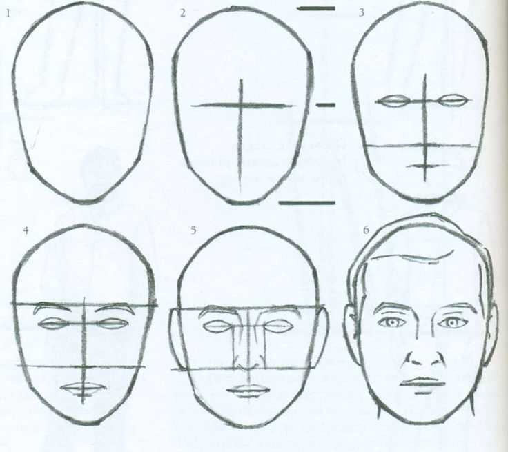 Анатомия лица: ракурсы, эмоции, расы
