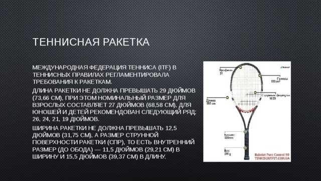 Правила большого тенниса кратко и понятно в картинках