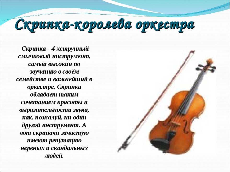 История скрипки кратко. Интересные скрипки. Описание музыкального инструмента. Небольшой доклад о скрипке. Доклад о скрипке.