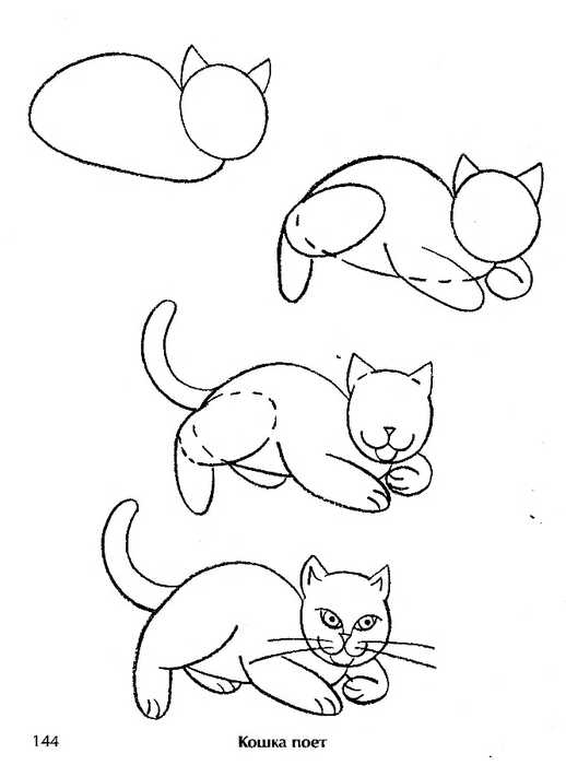 Как нарисовать кошку поэтапно карандашом - три легких мастер-класса для начинающих