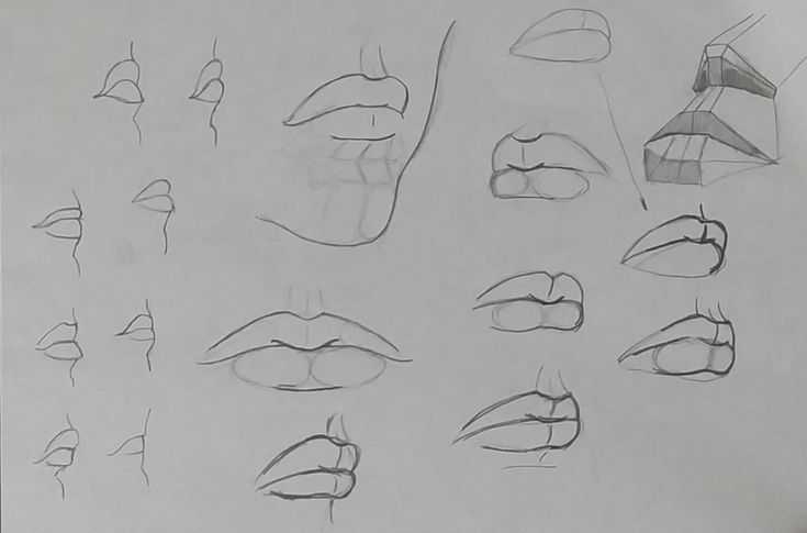 Как нарисовать губы карандашом: изучение структуры и поэтапное создание эскиза для начинающих
