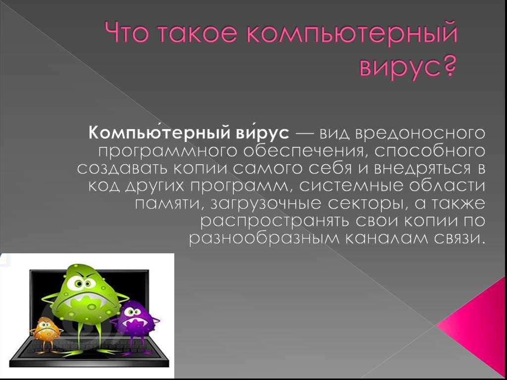 Компьютерные вирусы — letopisi.ru