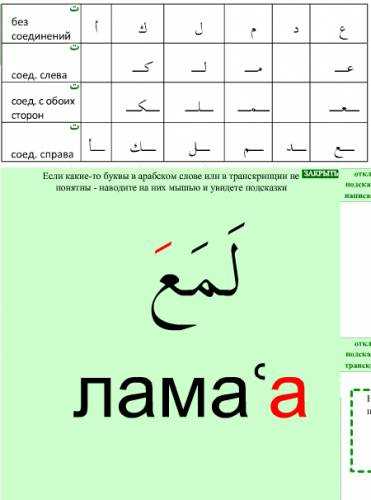 На каком языке общаться с арабом (диалекты арабского языка)
