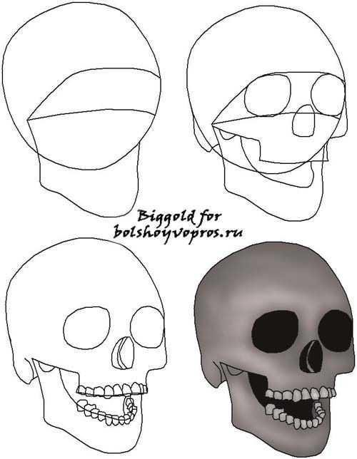 Как нарисовать череп карандашом: поэтапное описание как сделать рисунок в виде черепа
