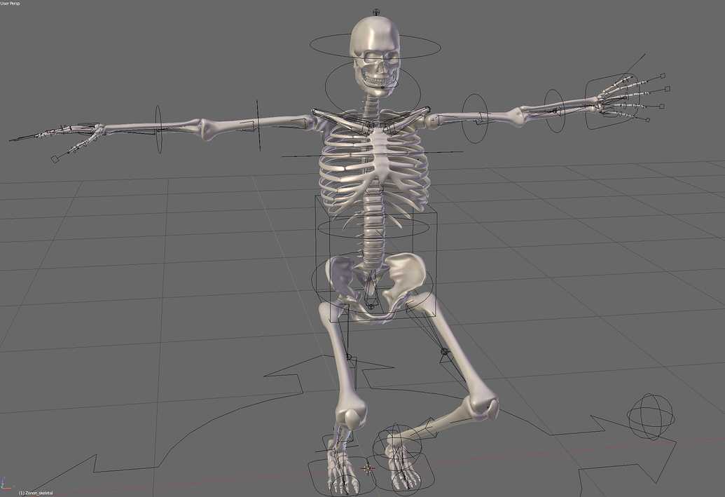 Как сделать бумажную модель человеческого скелета Никому не помешает иметь под рукой бумажную модель скелета По скелету можно начать учить анатомию, скелет может послужить отличным украшением помещения к Хэллоуину, да и изготовить его