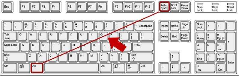 Как сделать скриншот картинки на компьютере с помощью клавиатуры