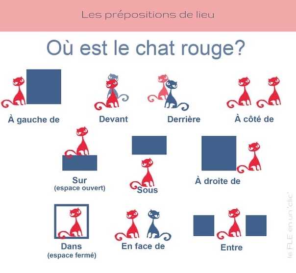 Вопросительные предложения во французском языке. | французский язык изучение