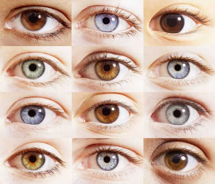 Как сделать цвет глаз ярче с помощью макияжа: 6 мейкап-средств и фото инструкция