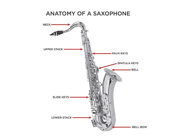 Как устроен саксофон схема - 92 фото