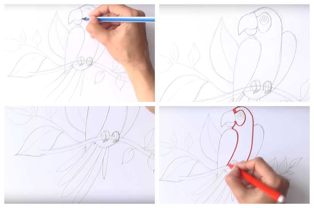 Уроки рисования для начинающих: бесплатные видео для домашнего обучения - все курсы онлайн