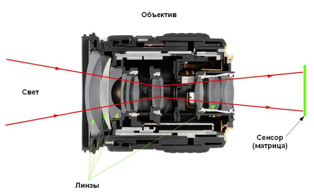 Каким получается изображение предмета на пленке или дисплее фотоаппарата