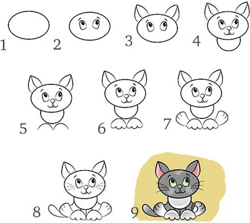 Как нарисовать кошку, кота, котенка поэтапно карандашом. топ вариантов для начинающих