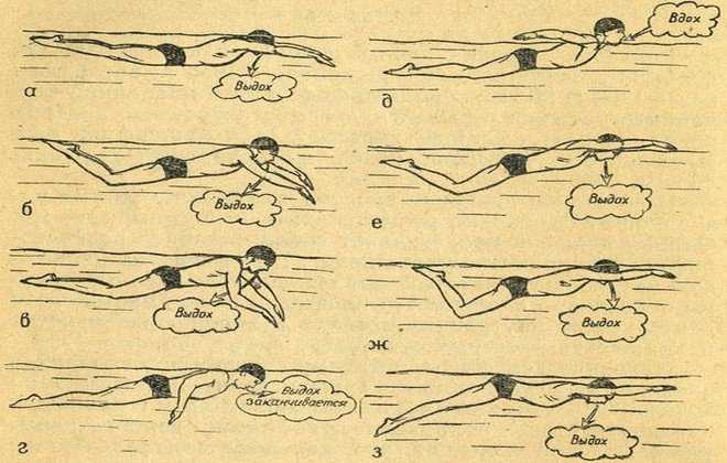 Научиться плавать взрослому с нуля самостоятельно. Кроль и брасс плавание. Техники плавания брасс Кроль Баттерфляй. Техника плавания в бассейне. Стиль плавания брасс техника.