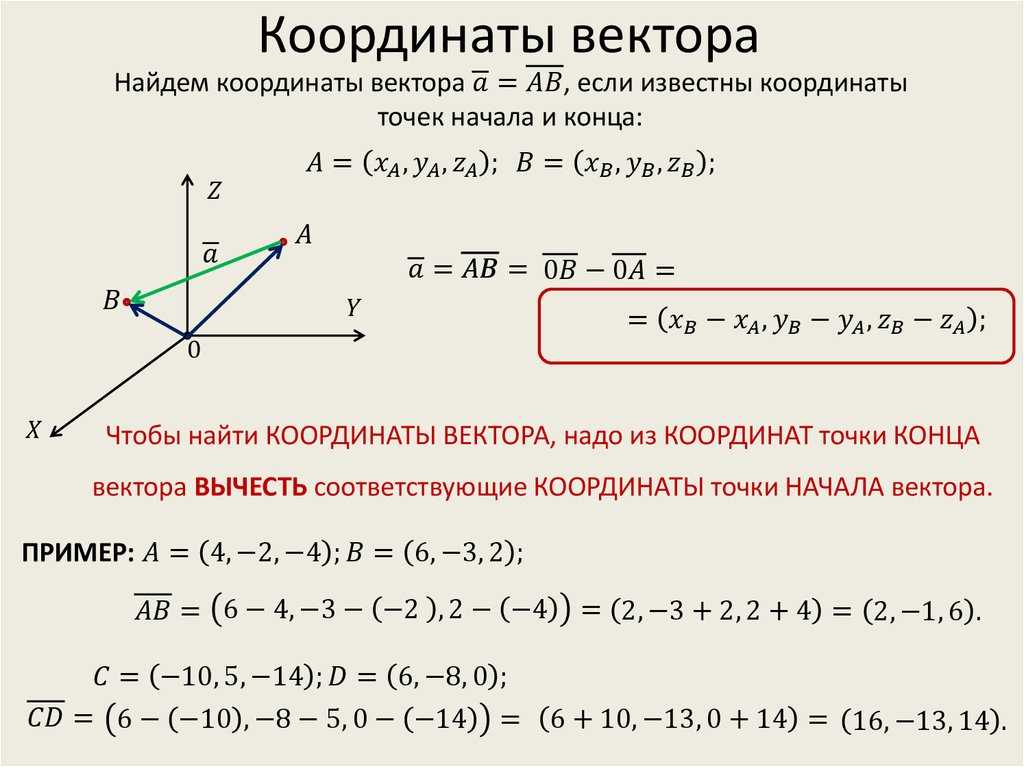 Урок 5: координаты в стереометрии - 100urokov.ru