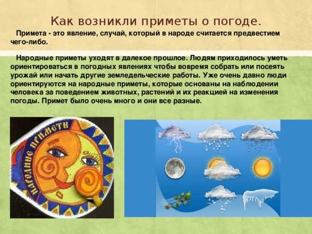 Кто и как предсказывает погоду