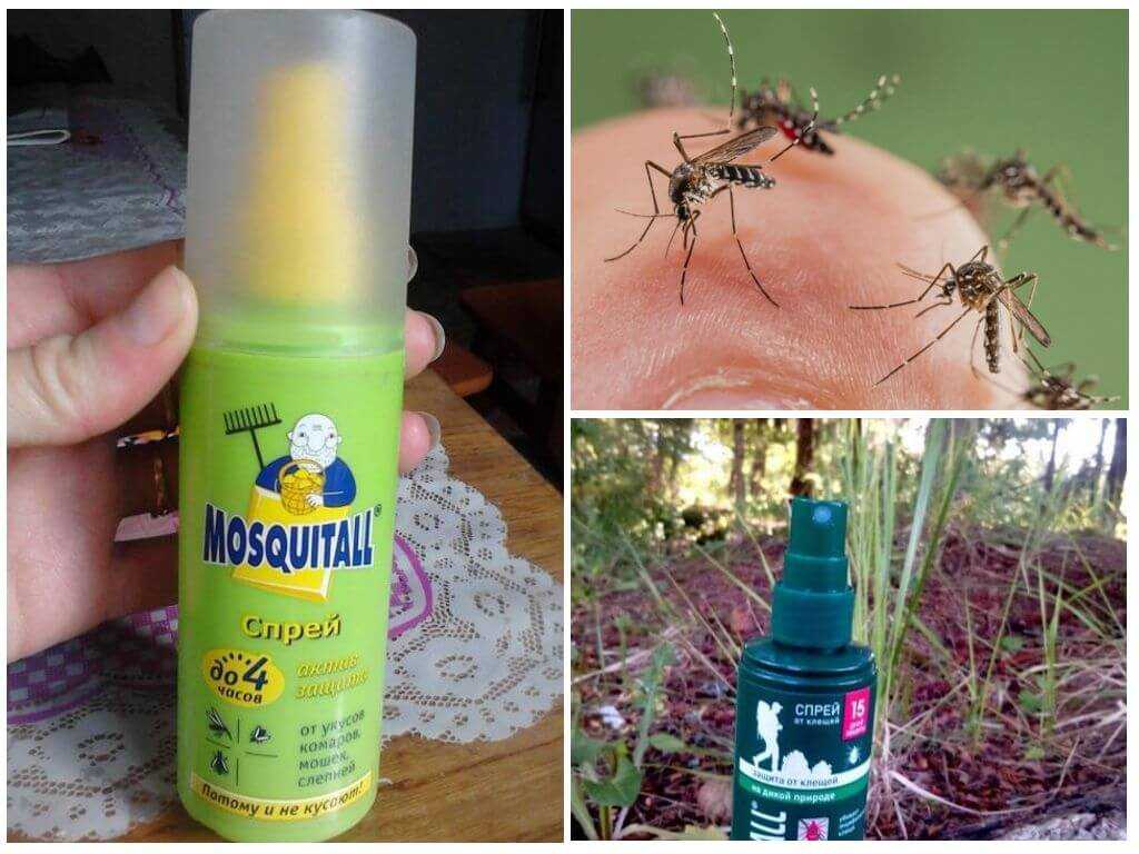 Средства от комаров: как избавиться от насекомых при помощи химии и без нее, откуда берутся кровопийцы и сколько живут в квартире + отзывы