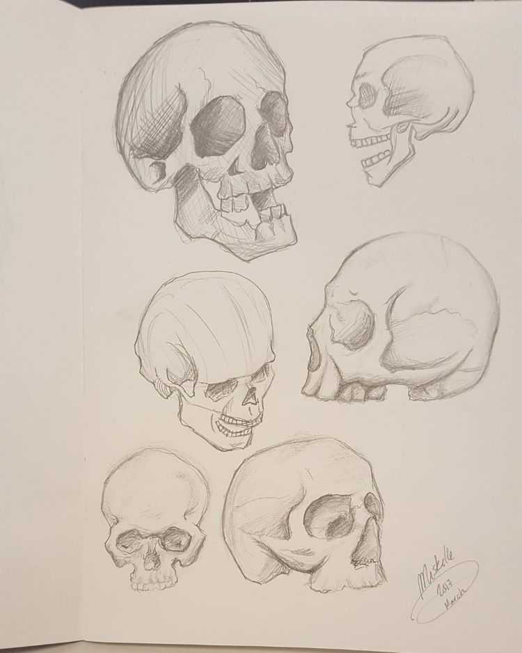 Как рисовать череп карандашом. рисуем череп