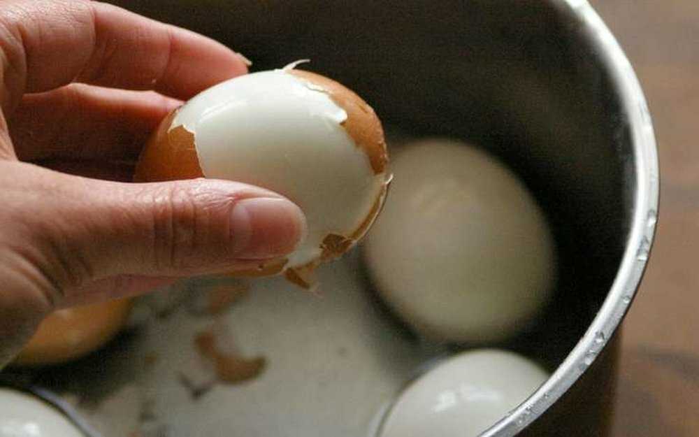 Простые, но изысканные блюда из яиц (сырых и вареных) | pricemedia