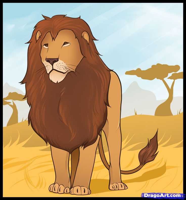 Как нарисовать льва поэтапно карандашом: инструкция, фото, схема, мастер-класс для детей