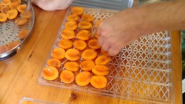 Как сделать варенье из кураги. полезные свойства сушеных абрикосов и рецепт варенья из кураги