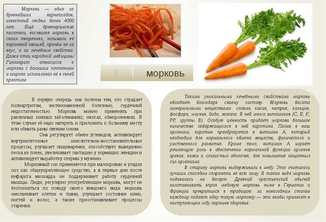 Домашняя косметика: 18 лучших рецептов масок из моркови для вашей красоты на supersadovnik.ru