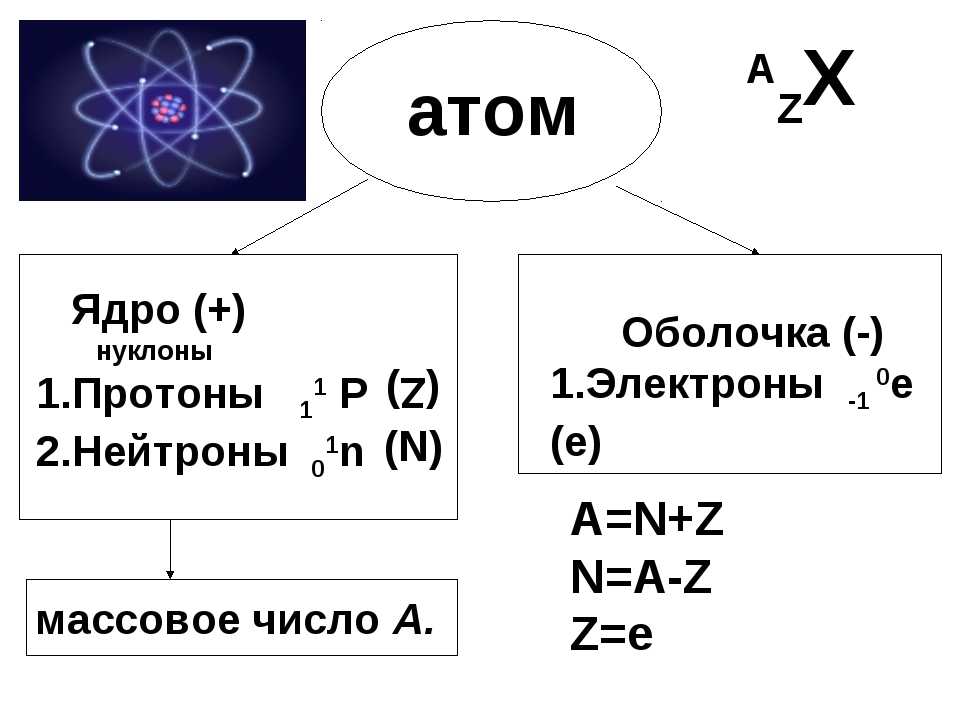 Ядро атома свинца содержит