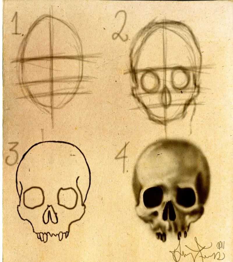 Как рисовать черепа карандашами поэтапно