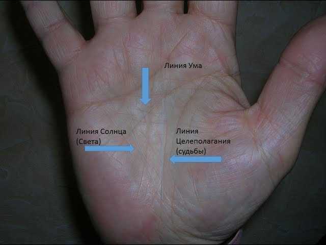 Линия путешествий на руке - расшифровка с фото в хиромантии