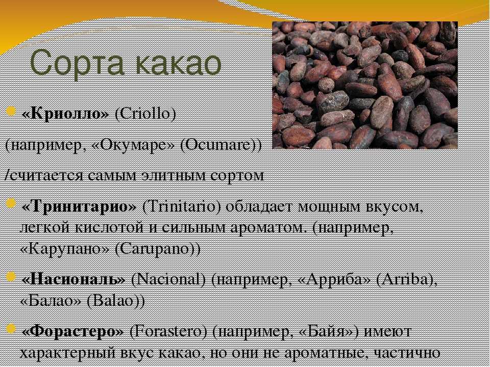 Как приготовить горячий шоколад рецепт с фото