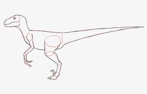 Как нарисовать динозавра поэтапно карандашом для начинающих? как нарисовать динозавра тирекса?