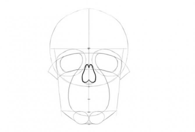 Как нарисовать череп поэтапно карандашом: легко и просто для детей, мастер-класс для начинающих от художников