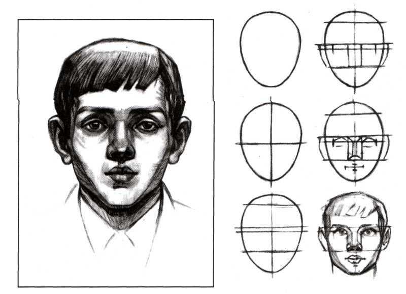 Портрет человека 4 класс изо. Пропорции головы человека анфас. Построение лица человека рисунок. Графический портрет человека. Последовательность рисования портрета.