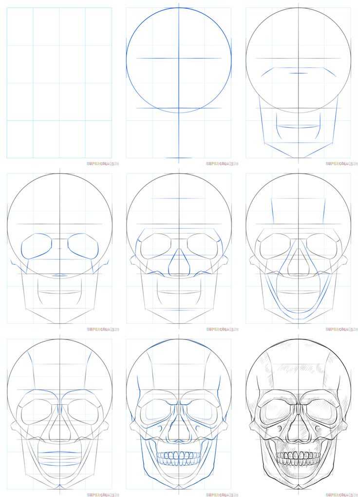 Как нарисовать череп Выполняете ли вы задание по анатомии или готовитесь к Хэллоуину, в любом случае умение рисовать череп вам пригодится Начните с простого круга и сделайте несколько малозаметных меток, которые помогут вам разместить