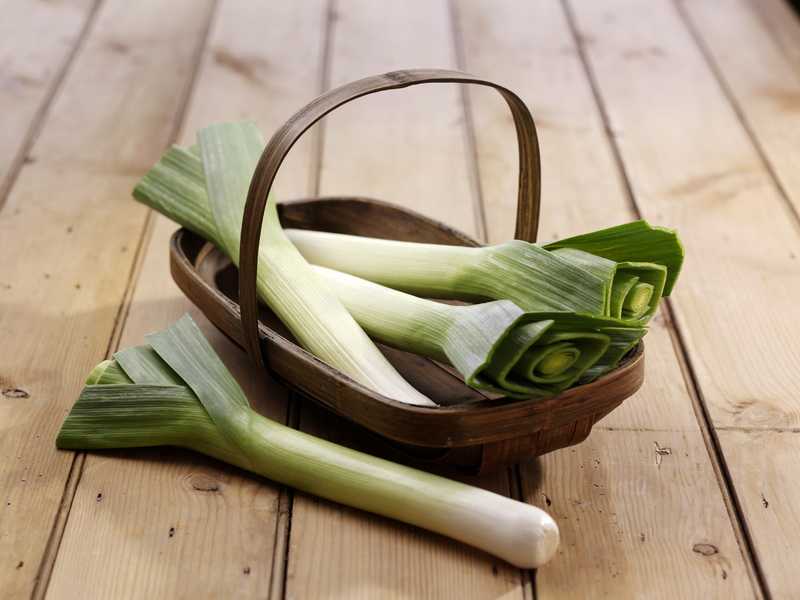 Лук-порей: 10 секретов выращивания полезного овоща