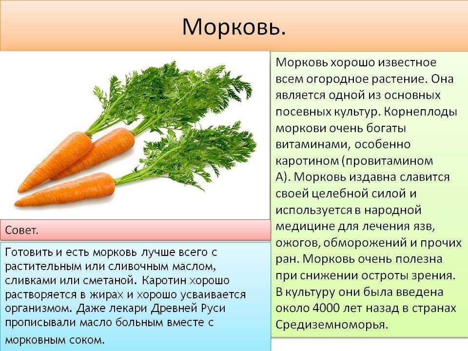 Морковное масло для загара