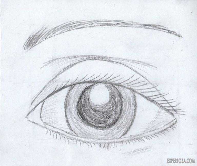 Как нарисовать глаза поэтапно карандашом — простые и понятные мастер-классы для начинающих