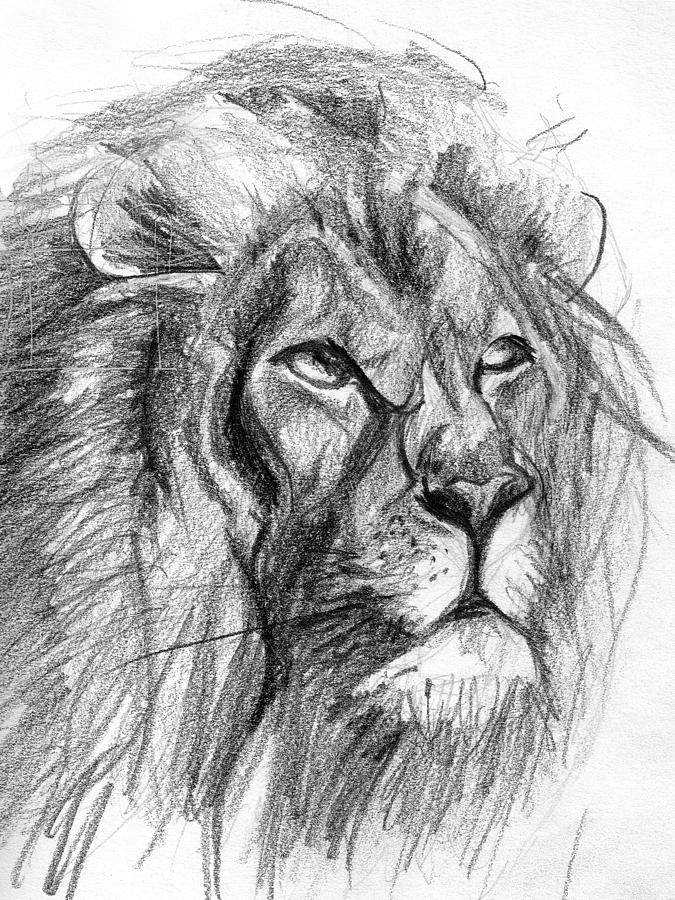 Как нарисовать льва поэтапно карандашом: пошаговая инструкция для начинающих