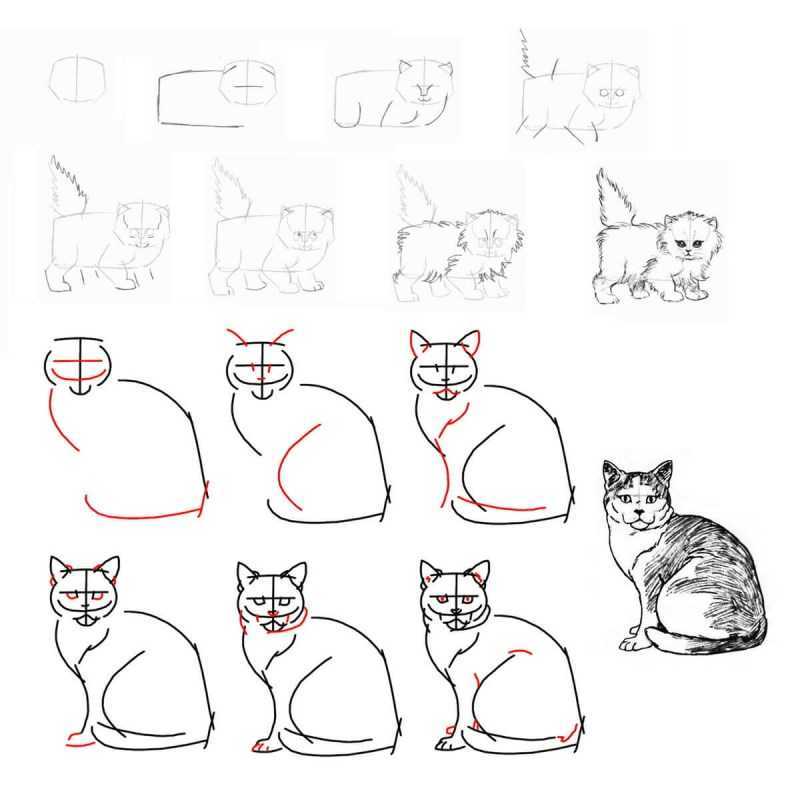 Как рисовать кошек. полный гайд по рисованию кошек и котов